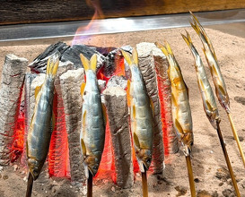 Dinner at Yanagiya (柳家)