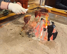Dinner at Yanagiya (柳家)