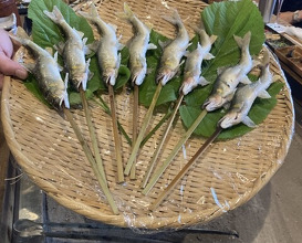 Dinner at Yanagiya (柳家)