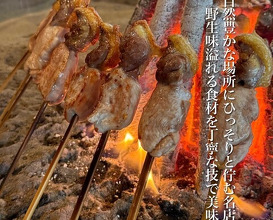 Dinner at Yanagiya (柳家)