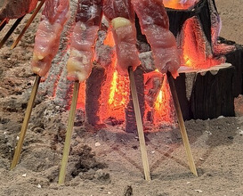 Dinner at Yanagiya (柳家)