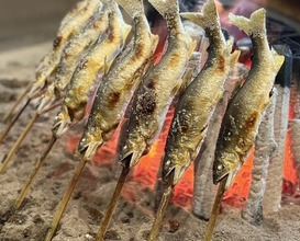 Dinner at Yanagiya (柳家)