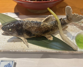 Dinner at Yanagiya Nishiki (柳家錦)
