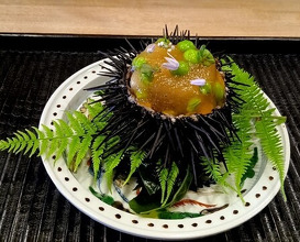 Dinner at Yo (陽)