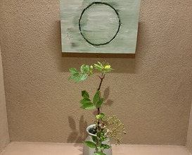 Dinner at Yonemasu (米増)