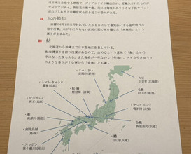 Dinner at Yonemasu (米増)