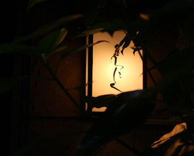 Dinner at Yoroniku