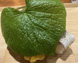 Dinner at Higashiyama Yoshihisa (東山 吉寿)