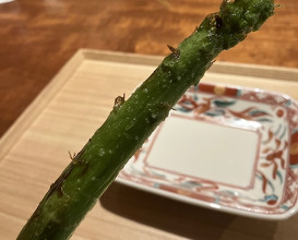 Dinner at Higashiyama Yoshihisa (東山 吉寿)