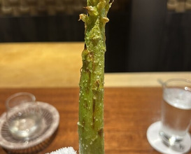 Dinner at Higashiyama Yoshihisa (東山 吉寿)