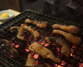Dinner at Sumibi Yaki Yuji (炭火焼 ゆうじ)