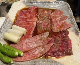 Dinner at Sumibi Yaki Yuji (炭火焼 ゆうじ)