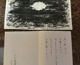Dinner at Kitaura Zenryo. (きたうら善漁。)