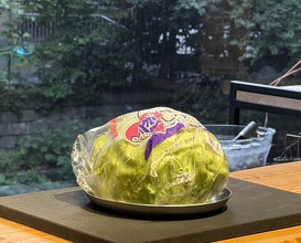 Dinner at Trace (トレイス)