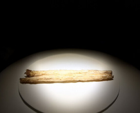 Dinner at Trace (トレイス)