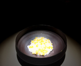 Dinner at Trace (トレイス)