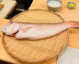 Dinner at Nijikichi