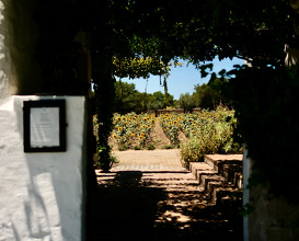 Dinner at São Lourenço Do Barrocal
