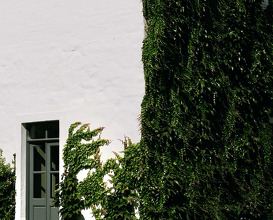 Dinner at São Lourenço Do Barrocal