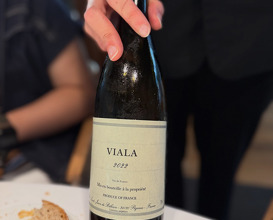 Dinner at Celler de Can Roca