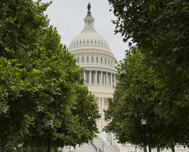 Dinner at Washington D. C.