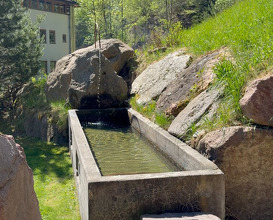 Dinner at Bad Schörgau
