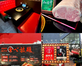 Dinner at 道頓堀 Dotonburi Osaka Japan