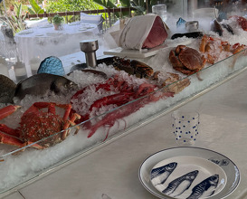 Dinner at Sea Grill Restaurant