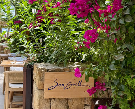 Dinner at Sea Grill Restaurant