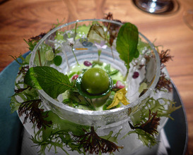 Dinner at Enclos Sonoma