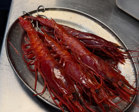 Dinner at Ibiza, Spain