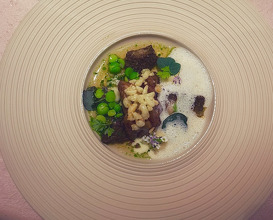 Dinner at Restaurant Rebelle