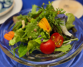 Dinner at Femme de bateau Aoki