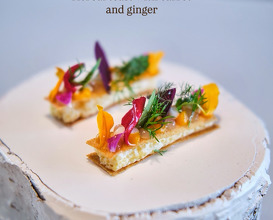Dinner at Terra - The Magic Place