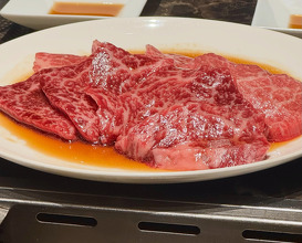 Dinner at Tokyo, Japan