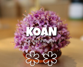 Dinner at koancph