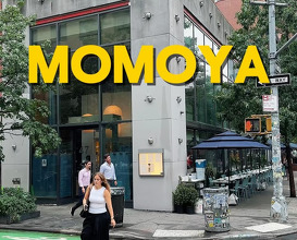 Dinner at Momoya SoHo