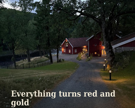 Dinner at Boen Gård