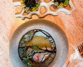 Dinner at MENMO Restaurant