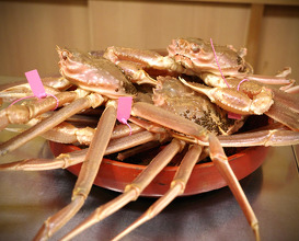 Dinner at 竹屋町三多