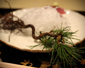 Dinner at 壬生京料理