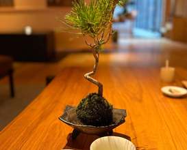 Dinner at The Ritz-Carlton, Nikko