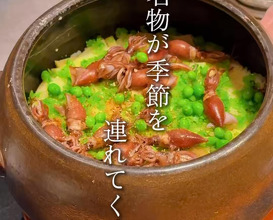 Dinner at 日本料理 晴山