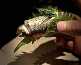 Dinner at acá