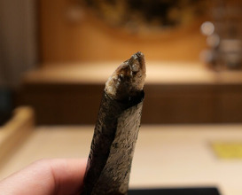 Dinner at Amaki (あま木)