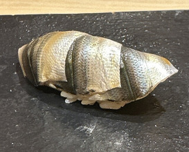 Dinner at Amaki (あま木)