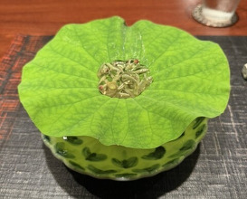 Dinner at Narayamachi Ao (奈良屋町 青)