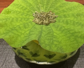 Dinner at Narayamachi Ao (奈良屋町 青)