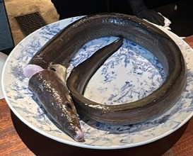 Dinner at Ao