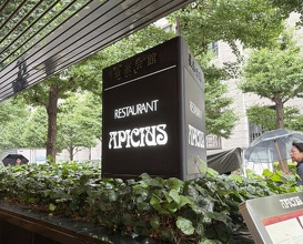 Dinner at APICIUS